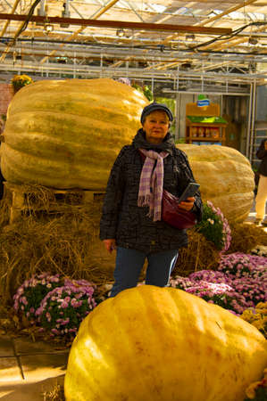 Russia, Moscow, October 2021. Visitors at the exhibition of huge pumpkins and autumn flowers in the Apothecary's garden.のeditorial素材