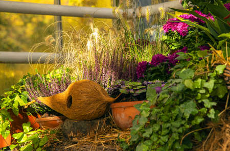 Autumn composition, illuminated by sunlight. A variety of autumn flowers in ceramic pots and vegetables in baskets stand on a shelf covered with burlap and straw.の写真素材
