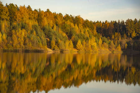 The bright yellowed forest is reflected in the surface of the lake, illuminated by sunlight. Autumn landscape.の写真素材