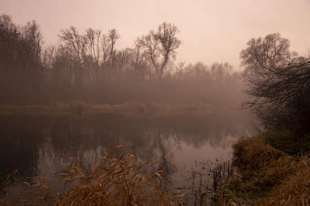 Autumn misty landscape. A thick fog rises over the river on a cloudy November day.の写真素材