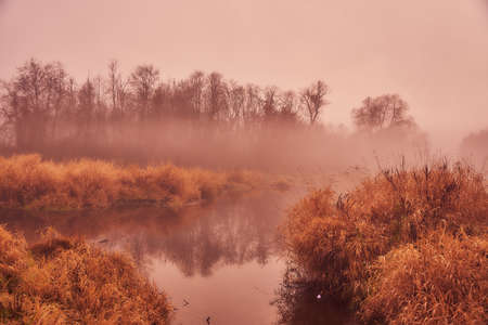 Autumn misty landscape. A thick fog rises over the river on a cloudy November day.の写真素材