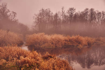 Autumn misty landscape. A thick fog rises over the river on a cloudy November day.の写真素材