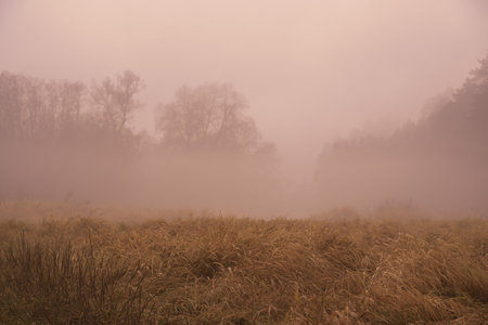 Autumn misty landscape. A thick fog rises over the river on a cloudy November day.の写真素材
