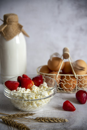 Milk in a plastic bottle, cottage cheese in a bowl and eggs in a basket on a gray background. farm assortment. food background.の写真素材