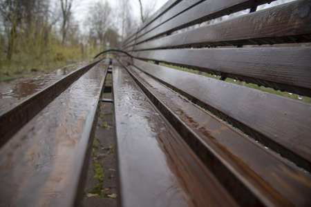 Wet wooden bench close-up in a spring public park.の写真素材
