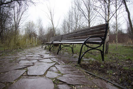 spring rain park. Wet benches on the path of broken tiles. selective focus.の写真素材