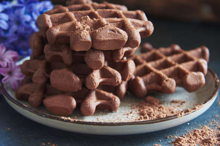 Chocolate Belgian waffles, sprinkled with cocoa, on a ceramic plate, decorated with colorful hyacinths. selective focus.の写真素材