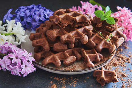 Chocolate Belgian waffles, sprinkled with cocoa, on a ceramic plate, decorated with colorful hyacinths. selective focus.の写真素材
