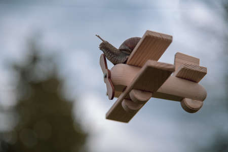 A series of photos of one day in the life of snails. A garden snail fly on a wooden plane.の写真素材