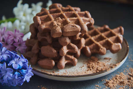 Chocolate Belgian waffles, sprinkled with cocoa, on a ceramic plate, decorated with colorful hyacinths. selective focus.の写真素材