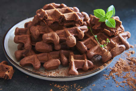 Delicious Belgian chocolate waffles, sprinkled with cocoa, on a ceramic plate on a dark stone countertop. selective focus.の写真素材