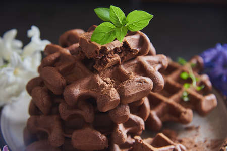 Chocolate Belgian waffles, sprinkled with cocoa, on a ceramic plate, decorated with colorful hyacinths. selective focus.の写真素材