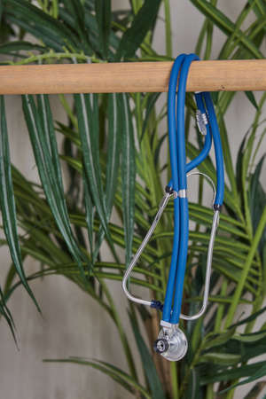 The stethoscope hangs on a wooden crossbar in the doctors office, decorated with fresh flowers.の写真素材
