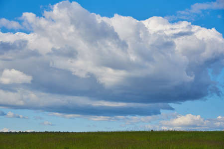 A green meadow under a bright blue sky with thick white clouds. summer landscape.の写真素材