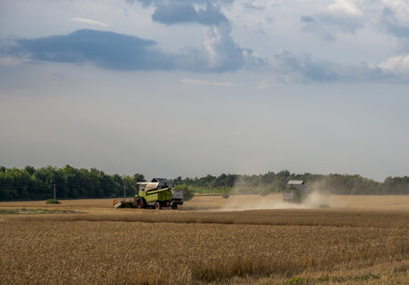 July 2022, Russia, Rostov region. Harvesting in wheat fields. Combine harvesters are walking across the field.の写真素材