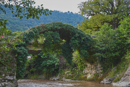 An ancient stone bridge, covered with ivy, over a fast mountain river.の写真素材