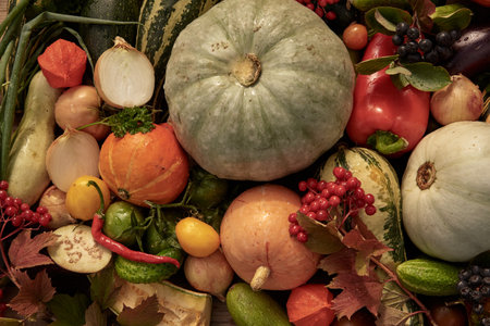 Ripe autumn vegetables and berries are laid out on the table. view from above. Background of fresh vegetables.The concept of a healthy lifestyle.の写真素材