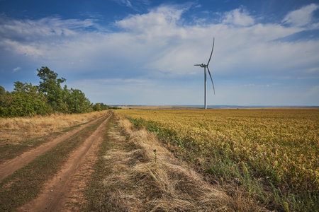 Dirt road in fields where there are large wind turbines.の写真素材
