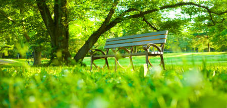park benchの写真素材