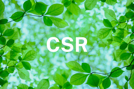 CSR forest imageの写真素材