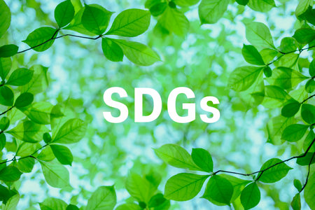 SDGs forest image