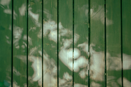 Green wooden wall with peeling paint. Abstract background for design.の写真素材
