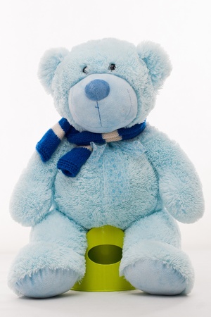 Blue teddy bear on the pottyの写真素材