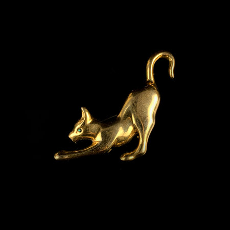Gold jewelry in the shape of a cat with crystals. vintage brooch in the shape of a catの写真素材