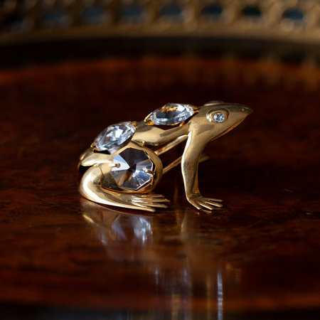 Jewelry ring in the form of a frog on a mirror background. golden antique figurine of a toad in a luxurious interior.の写真素材