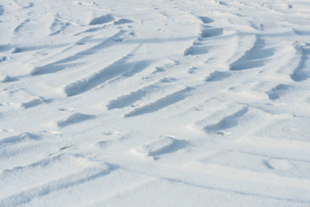 Curvy car tracks in the snow at daytime backgroundの写真素材