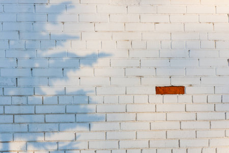 One red brick on the white brickwallの写真素材