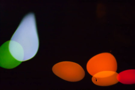 Colorful abstract blurry defocused bokeh lights on black background. Green, orange, blue and red spotsの写真素材