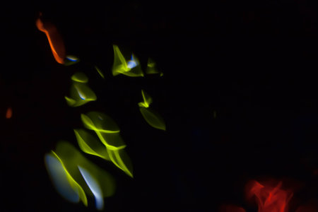 Abstract blurred colorful light on black backgrpound. Multicolor vivid reflections on the water. Cosmic, space and biological.の写真素材