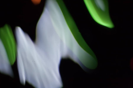 Abstract blurred colorful light on black backgrpound. Multicolor vivid reflections on the water. Cosmic, space and biological.の写真素材
