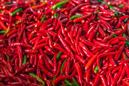 Pile of fresh red chilli peppers texture. Raw food background. Close up. Traditional vegetable market in Bangkok, Thailand.の写真素材