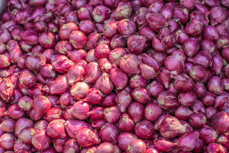 Pile of many fresh organic shallot onoins in the farmers market for sale from field for background. Close up, selective focusの写真素材