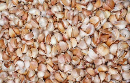 Pile of many fresh garlic cloves in the farmers market for sale from field for background. Close upの写真素材