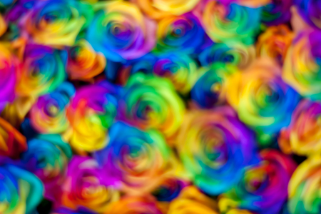 Awesome abstract colorful multicolor vivid rainbow floral blurred bokeh background for design. Out of focus. Rosesの写真素材