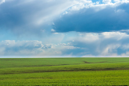 green field with fresh vibrant grass and blue sky with dramatic clouds at the daytimeの写真素材