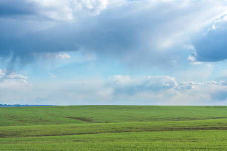 green field with fresh vibrant grass and blue sky with dramatic clouds at the daytimeの写真素材