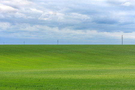 Beautiful tranquil meadow under the mild cloudy sky and power line at the horizonの写真素材