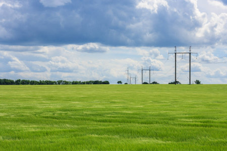 Green field of young wheat, forest, towers of high voltage electrical wires into the distance and the cloudy dramatic skyの写真素材
