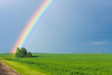 rainbow in the blue clear sky over green tranquil field illuminated by the sun in the country sideの写真素材