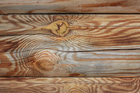 Vibrant old wood texture. Lining boards wall. Wooden background pattern. Showing growth rings.の写真素材