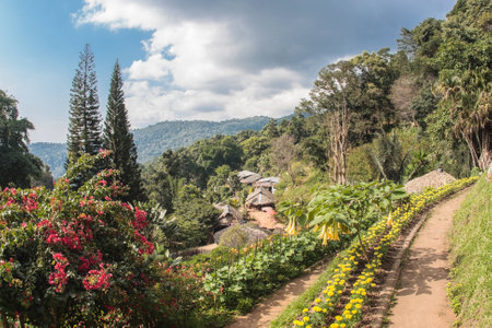 Top view of Doi Pui Mong Hill Tribe Village, Chiang Mai, Northern Thailandの写真素材