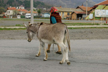 A woman walking with her donkey.の写真素材