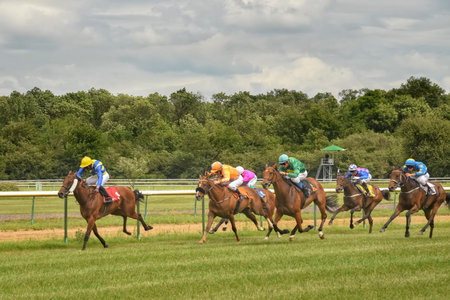 Magdeburg, Germany - 24 June 2017: Horse race. Tough fight between the jockeys riding race horsesのeditorial素材
