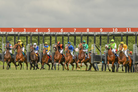 Magdeburg, Germany - 24 June 2017: Horse race. Tough fight between the jockeys riding race horses. Race track in Magdeburgのeditorial素材