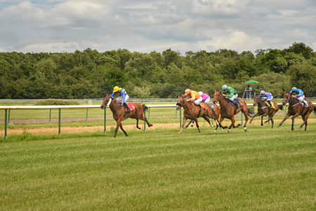 Magdeburg, Germany - 24 June 2017: Horse race. Tough fight between the jockeys riding race horses. Race track in Magdeburgのeditorial素材