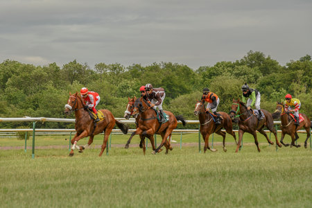 Magdeburg, Germany - 24 June 2017: Horse race. Tough fight between the jockeys riding race horses....
